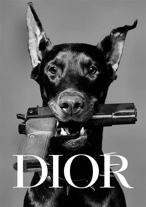 dior dog with gun|elegant dog collar.